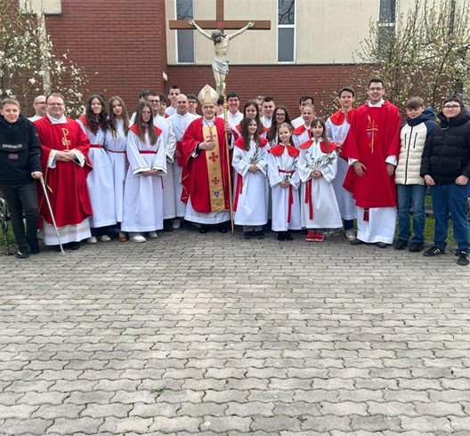 Kardinal Bozanić predvodio misno slavlje Cvjetnice u Župi Muke Isusove